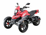 CLICK TO SEE TRIKE CATALOG